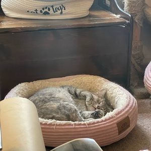 Meet your Posher, Chrisalyn